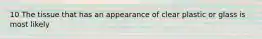 10 The tissue that has an appearance of clear plastic or glass is most likely