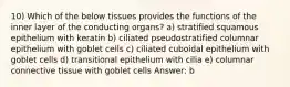 10) Which of the below tissues provides the functions of the inner layer of the conducting organs? a) stratified squamous epithelium with keratin b) ciliated pseudostratified columnar epithelium with goblet cells c) ciliated cuboidal epithelium with goblet cells d) transitional epithelium with cilia e) columnar connective tissue with goblet cells Answer: b