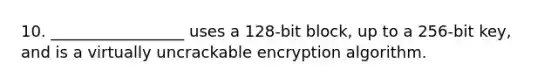 10. _________________ uses a 128-bit block, up to a 256-bit key, and is a virtually uncrackable encryption algorithm.