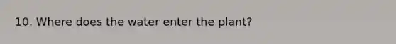 10. Where does the water enter the plant?