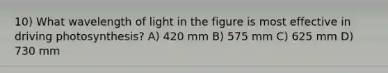 10) What wavelength of light in the figure is most effective in driving photosynthesis? A) 420 mm B) 575 mm C) 625 mm D) 730 mm