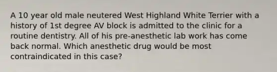 A 10 year old male neutered West Highland White Terrier with a history of 1st degree AV block is admitted to the clinic for a routine dentistry. All of his pre-anesthetic lab work has come back normal. Which anesthetic drug would be most contraindicated in this case?