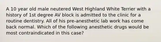 A 10 year old male neutered West Highland White Terrier with a history of 1st degree AV block is admitted to the clinic for a routine dentistry. All of his pre-anesthetic lab work has come back normal. Which of the following anesthetic drugs would be most contraindicated in this case?