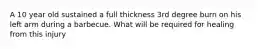A 10 year old sustained a full thickness 3rd degree burn on his left arm during a barbecue. What will be required for healing from this injury