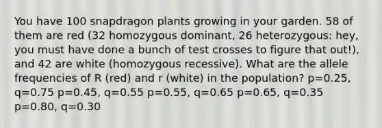 You have 100 snapdragon plants growing in your garden. 58 of them are red (32 homozygous dominant, 26 heterozygous: hey, you must have done a bunch of test crosses to figure that out!), and 42 are white (homozygous recessive). What are the allele frequencies of R (red) and r (white) in the population? p=0.25, q=0.75 p=0.45, q=0.55 p=0.55, q=0.65 p=0.65, q=0.35 p=0.80, q=0.30