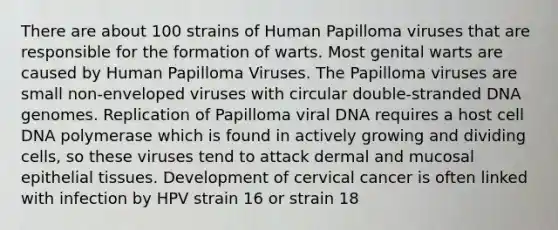 There are about 100 strains of Human Papilloma viruses that are responsible for the formation of warts. Most genital warts are caused by Human Papilloma Viruses. The Papilloma viruses are small non-enveloped viruses with circular double-stranded DNA genomes. Replication of Papilloma viral DNA requires a host cell DNA polymerase which is found in actively growing and dividing cells, so these viruses tend to attack dermal and mucosal <a href='https://www.questionai.com/knowledge/k7dms5lrVY-epithelial-tissue' class='anchor-knowledge'>epithelial tissue</a>s. Development of cervical cancer is often linked with infection by HPV strain 16 or strain 18