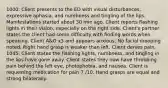 1000: Client presents to the ED with visual disturbances, expressive aphasia, and numbness and tingling of the lips. Manifestations started about 30 min ago. Client reports flashing lights in their vision, especially on the right side. Client's partner states the client had some difficulty with finding words when speaking. Client A&O x3 and appears anxious. No facial drooping noted. Right hand grasp is weaker than left. Client denies pain. 1045: Client states the flashing lights, numbness, and tingling in the lips have gone away. Client states they now have throbbing pain behind the left eye, photophobia, and nausea. Client is requesting medication for pain 7 /10. Hand grasps are equal and strong bilaterally.