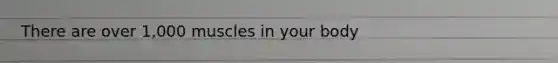There are over 1,000 muscles in your body