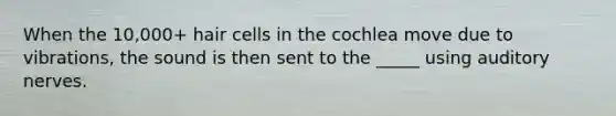 When the 10,000+ hair cells in the cochlea move due to vibrations, the sound is then sent to the _____ using auditory nerves.