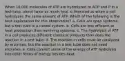 When 10,000 molecules of ATP are hydrolyzed to ADP and P in a test tube, about twice as much heat is liberated as when a cell hydrolyzes the same amount of ATP. Which of the following is the best explanation for this observation? a. Cells are open systems, but a test tube is a closed system. b. Cells are less efficient at heat production than nonliving systems. c. The hydrolysis of ATP in a cell produces different chemical products than does the reaction in a test tube. d. The reaction in cells must be catalyzed by enzymes, but the reaction in a test tube does not need enzymes. e. Cells convert some of the energy of ATP hydrolysis into other forms of energy besides heat.