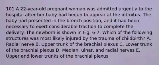 101 A 22-year-old pregnant woman was admitted urgently to the hospital after her baby had begun to appear at the introitus. The baby had presented in the breech position, and it had been necessary to exert considerable traction to complete the delivery. The newborn is shown in Fig. 6-7. Which of the following structures was most likely injured by the trauma of childbirth? A. Radial nerve B. Upper trunk of the brachial plexus C. Lower trunk of the brachial plexus D. Median, ulnar, and radial nerves E. Upper and lower trunks of the brachial plexus