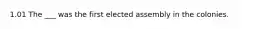 1.01 The ___ was the first elected assembly in the colonies.