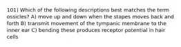 101) Which of the following descriptions best matches the term ossicles? A) move up and down when the stapes moves back and forth B) transmit movement of the tympanic membrane to the inner ear C) bending these produces receptor potential in hair cells