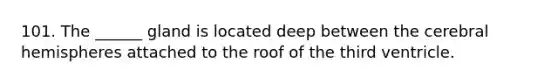 101. The ______ gland is located deep between the cerebral hemispheres attached to the roof of the third ventricle.