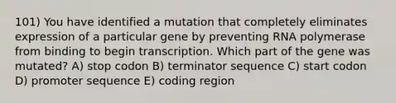 101) You have identified a mutation that completely eliminates expression of a particular gene by preventing RNA polymerase from binding to begin transcription. Which part of the gene was mutated? A) stop codon B) terminator sequence C) start codon D) promoter sequence E) coding region