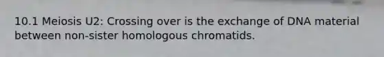 10.1 Meiosis U2: Crossing over is the exchange of DNA material between non-sister homologous chromatids.