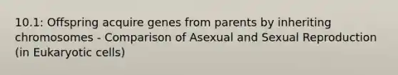 10.1: Offspring acquire genes from parents by inheriting chromosomes - Comparison of Asexual and Sexual Reproduction (in Eukaryotic cells)