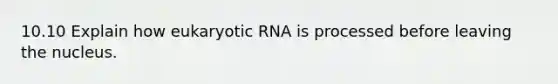 10.10 Explain how eukaryotic RNA is processed before leaving the nucleus.