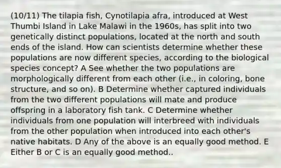 (10/11) The tilapia fish, Cynotilapia afra, introduced at West Thumbi Island in Lake Malawi in the 1960s, has split into two genetically distinct populations, located at the north and south ends of the island. How can scientists determine whether these populations are now different species, according to the biological species concept? A See whether the two populations are morphologically different from each other (i.e., in coloring, <a href='https://www.questionai.com/knowledge/kgWuCNs0Fr-bone-structure' class='anchor-knowledge'>bone structure</a>, and so on). B Determine whether captured individuals from the two different populations will mate and produce offspring in a laboratory fish tank. C Determine whether individuals from one population will interbreed with individuals from the other population when introduced into each other's native habitats. D Any of the above is an equally good method. E Either B or C is an equally good method..