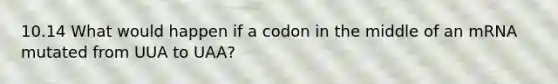 10.14 What would happen if a codon in the middle of an mRNA mutated from UUA to UAA?