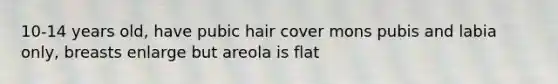 10-14 years old, have pubic hair cover mons pubis and labia only, breasts enlarge but areola is flat