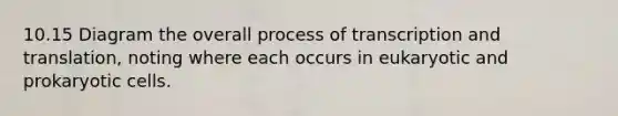 10.15 Diagram the overall process of transcription and translation, noting where each occurs in eukaryotic and prokaryotic cells.