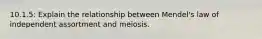 10.1.5: Explain the relationship between Mendel's law of independent assortment and meiosis.