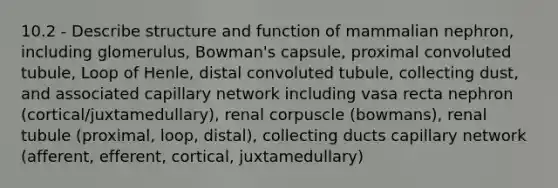 10.2 - Describe structure and function of mammalian nephron, including glomerulus, Bowman's capsule, proximal convoluted tubule, Loop of Henle, distal convoluted tubule, collecting dust, and associated capillary network including vasa recta nephron (cortical/juxtamedullary), renal corpuscle (bowmans), renal tubule (proximal, loop, distal), collecting ducts capillary network (afferent, efferent, cortical, juxtamedullary)