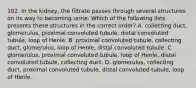 102. In the kidney, the filtrate passes through several structures on its way to becoming urine. Which of the following lists presents these structures in the correct order? A. collecting duct, glomerulus, proximal convoluted tubule, distal convoluted tubule, loop of Henle. B. proximal convoluted tubule, collecting duct, glomerulus, loop of Henle, distal convoluted tubule. C. glomerulus, proximal convoluted tubule, loop of Henle, distal convoluted tubule, collecting duct. D. glomerulus, collecting duct, proximal convoluted tubule, distal convoluted tubule, loop of Henle.