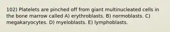 102) Platelets are pinched off from giant multinucleated cells in the bone marrow called A) erythroblasts. B) normoblasts. C) megakaryocytes. D) myeloblasts. E) lymphoblasts.