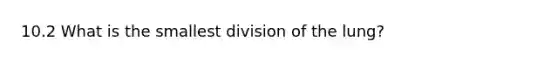 10.2 What is the smallest division of the lung?