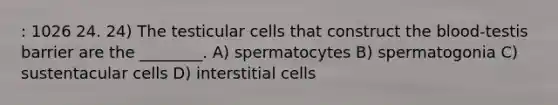 : 1026 24. 24) The testicular cells that construct <a href='https://www.questionai.com/knowledge/k7oXMfj7lk-the-blood' class='anchor-knowledge'>the blood</a>-testis barrier are the ________. A) spermatocytes B) spermatogonia C) sustentacular cells D) interstitial cells