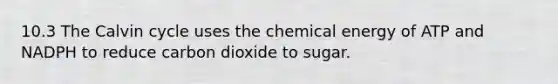 10.3 The Calvin cycle uses the chemical energy of ATP and NADPH to reduce carbon dioxide to sugar.