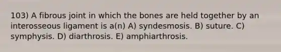 103) A fibrous joint in which the bones are held together by an interosseous ligament is a(n) A) syndesmosis. B) suture. C) symphysis. D) diarthrosis. E) amphiarthrosis.