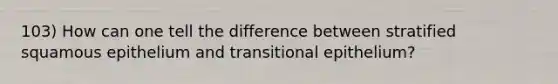 103) How can one tell the difference between stratified squamous epithelium and transitional epithelium?