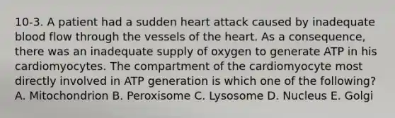 10-3. A patient had a sudden heart attack caused by inadequate blood flow through the vessels of the heart. As a consequence, there was an inadequate supply of oxygen to generate ATP in his cardiomyocytes. The compartment of the cardiomyocyte most directly involved in ATP generation is which one of the following? A. Mitochondrion B. Peroxisome C. Lysosome D. Nucleus E. Golgi