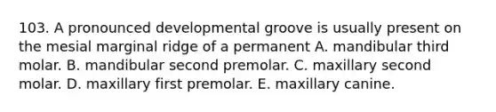 103. A pronounced developmental groove is usually present on the mesial marginal ridge of a permanent A. mandibular third molar. B. mandibular second premolar. C. maxillary second molar. D. maxillary first premolar. E. maxillary canine.