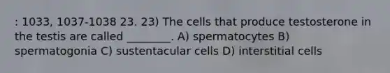 : 1033, 1037-1038 23. 23) The cells that produce testosterone in the testis are called ________. A) spermatocytes B) spermatogonia C) sustentacular cells D) interstitial cells