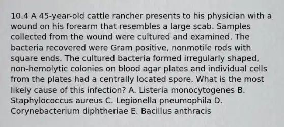 10.4 A 45-year-old cattle rancher presents to his physician with a wound on his forearm that resembles a large scab. Samples collected from the wound were cultured and examined. The bacteria recovered were Gram positive, nonmotile rods with square ends. The cultured bacteria formed irregularly shaped, non-hemolytic colonies on blood agar plates and individual cells from the plates had a centrally located spore. What is the most likely cause of this infection? A. Listeria monocytogenes B. Staphylococcus aureus C. Legionella pneumophila D. Corynebacterium diphtheriae E. Bacillus anthracis