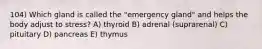 104) Which gland is called the "emergency gland" and helps the body adjust to stress? A) thyroid B) adrenal (suprarenal) C) pituitary D) pancreas E) thymus