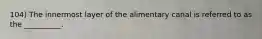 104) The innermost layer of the alimentary canal is referred to as the __________.