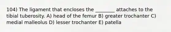 104) The ligament that encloses the ________ attaches to the tibial tuberosity. A) head of the femur B) greater trochanter C) medial malleolus D) lesser trochanter E) patella