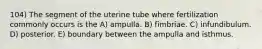 104) The segment of the uterine tube where fertilization commonly occurs is the A) ampulla. B) fimbriae. C) infundibulum. D) posterior. E) boundary between the ampulla and isthmus.