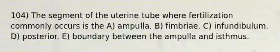 104) The segment of the uterine tube where fertilization commonly occurs is the A) ampulla. B) fimbriae. C) infundibulum. D) posterior. E) boundary between the ampulla and isthmus.