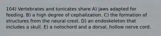 104) Vertebrates and tunicates share A) jaws adapted for feeding. B) a high degree of cephalization. C) the formation of structures from the neural crest. D) an endoskeleton that includes a skull. E) a notochord and a dorsal, hollow nerve cord.