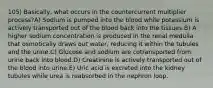 105) Basically, what occurs in the countercurrent multiplier process?A) Sodium is pumped into the blood while potassium is actively transported out of the blood back into the tissues.B) A higher sodium concentration is produced in the renal medulla that osmotically draws out water, reducing it within the tubules and the urine.C) Glucose and sodium are cotransported from urine back into blood.D) Creatinine is actively transported out of the blood into urine.E) Uric acid is excreted into the kidney tubules while urea is reabsorbed in the nephron loop.