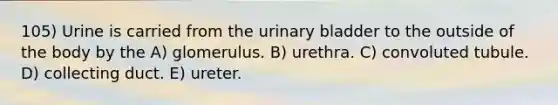 105) Urine is carried from the <a href='https://www.questionai.com/knowledge/kb9SdfFdD9-urinary-bladder' class='anchor-knowledge'>urinary bladder</a> to the outside of the body by the A) glomerulus. B) urethra. C) convoluted tubule. D) collecting duct. E) ureter.