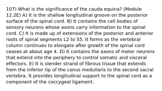 107) What is the significance of the cauda equina? (Module 12.2E) A) It is the shallow longitudinal groove on the posterior surface of the spinal cord. B) It contains the cell bodies of sensory neurons whose axons carry information to the spinal cord. C) It is made up of extensions of the posterior and anterior roots of spinal segments L2 to S5. It forms as the vertebral column continues to elongate after growth of the spinal cord ceases at about age 4. D) It contains the axons of motor neurons that extend into the periphery to control somatic and visceral effectors. E) It is slender strand of fibrous tissue that extends from the inferior tip of the conus medullaris to the second sacral vertebra. It provides longitudinal support to the spinal cord as a component of the coccygeal ligament.