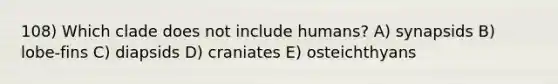 108) Which clade does not include humans? A) synapsids B) lobe-fins C) diapsids D) craniates E) osteichthyans