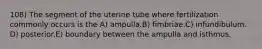 108) The segment of the uterine tube where fertilization commonly occurs is the A) ampulla.B) fimbriae.C) infundibulum. D) posterior.E) boundary between the ampulla and isthmus.